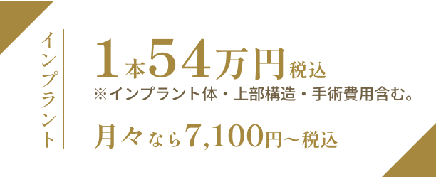 1本 33万円（税込）月々なら 0000円〜（税込）